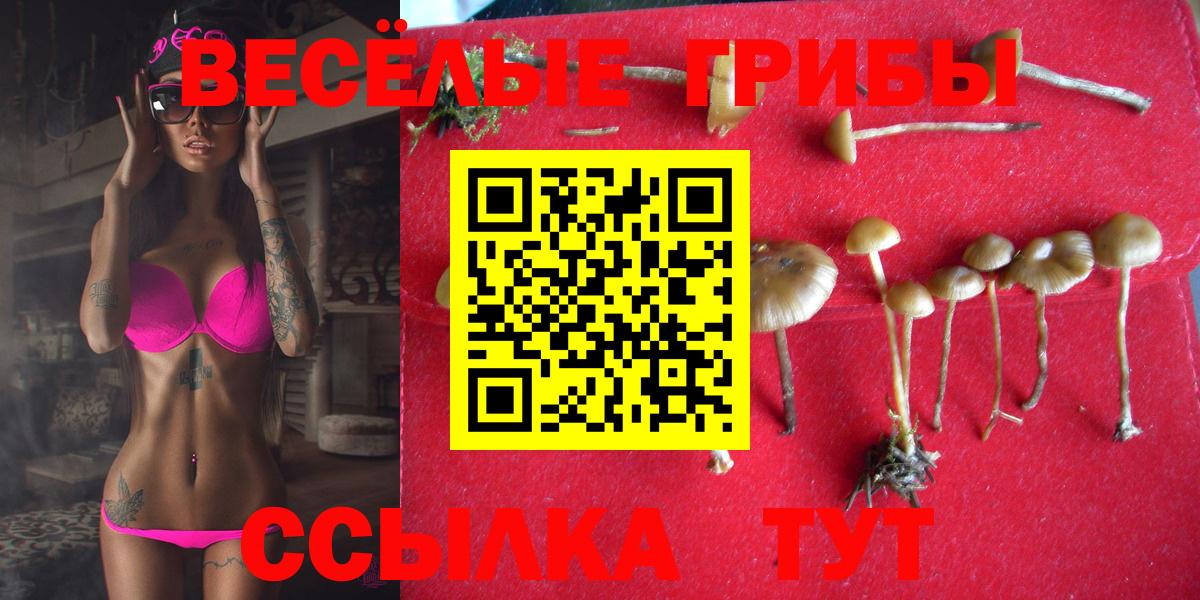 Псилоцибиновые грибы ЛСД  Вход с VPN  наркотики  Ростов Великий 